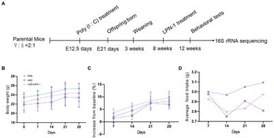 Lactiplantibacillus plantarum N-1 improves autism-like behavior and gut microbiota in mouse